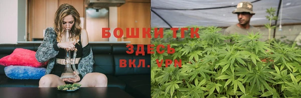 прущие грибы Богородск