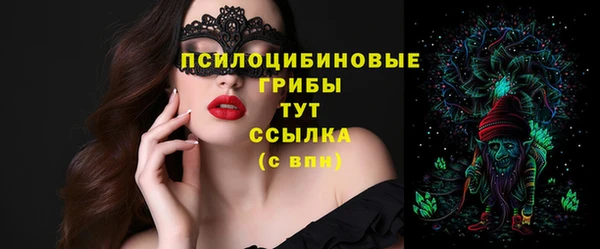 apvp Богданович