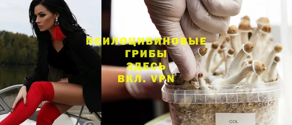 apvp Богданович