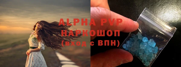 прущие грибы Богородск