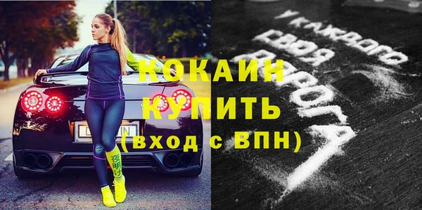 прущие грибы Богородск