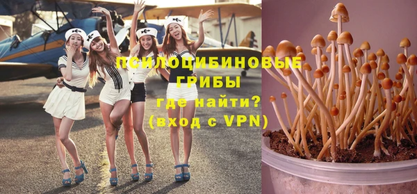 Альфа ПВП Богородицк
