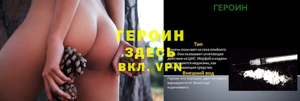 прущие грибы Богородск