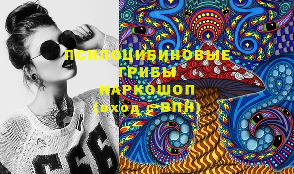 Альфа ПВП Богородицк