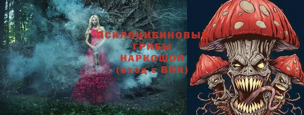 apvp Богданович