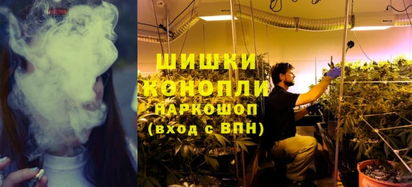 apvp Богданович