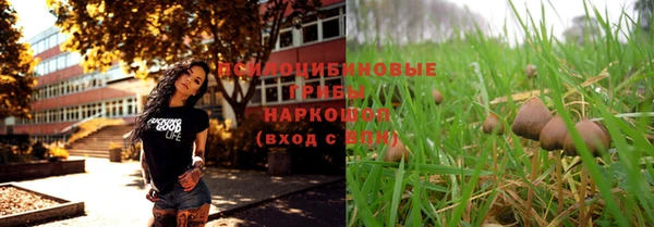 Альфа ПВП Богородицк