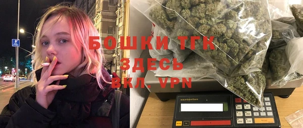 прущие грибы Богородск
