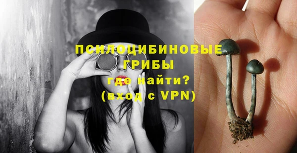 apvp Богданович