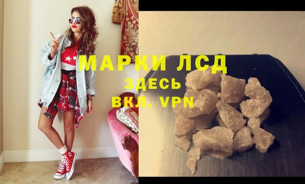 прущие грибы Богородск