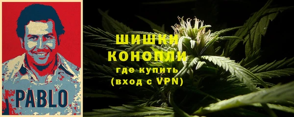 apvp Богданович