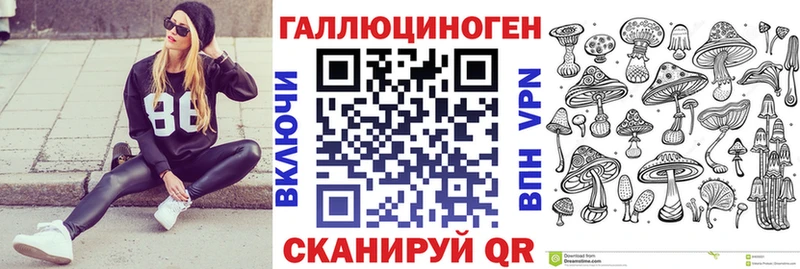 Галлюциногенные грибы Psilocybine cubensis  Можайск 